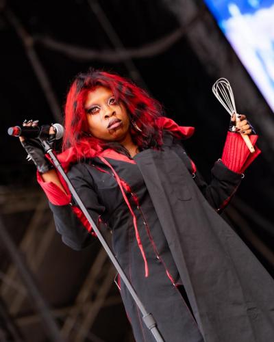 060526 GovBall @leesology-138