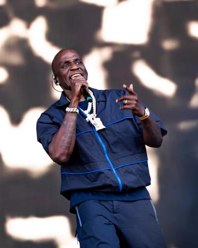 060526 GovBall @leesology-200