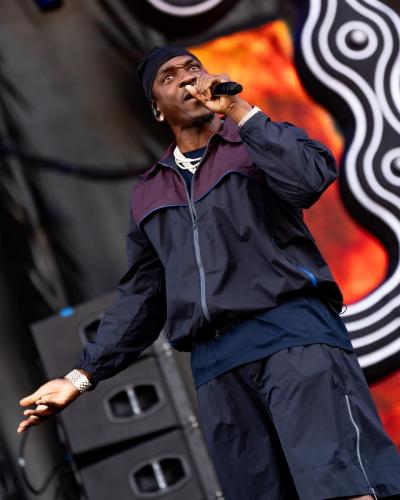 060526 GovBall @leesology-206