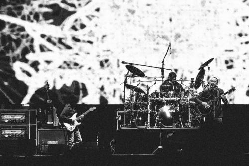 DMB-DSCF1950