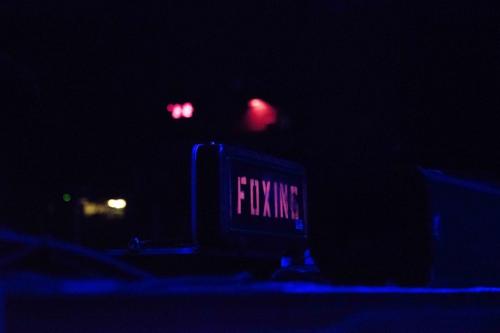 FOXING.FILL.12.06.19