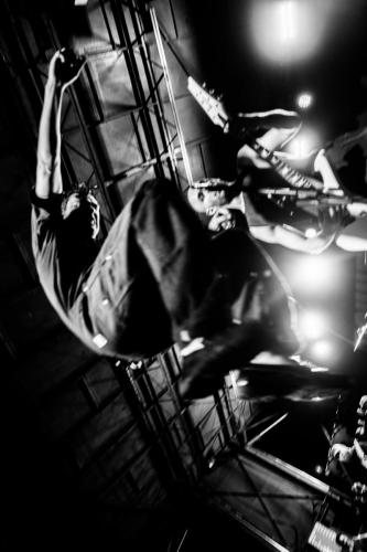knockedloose web 11 (1)