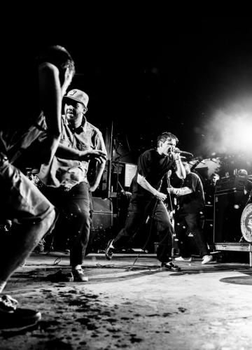 knockedloose web 12 (1)