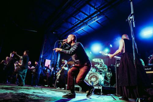 knockedloose web 14 (1)