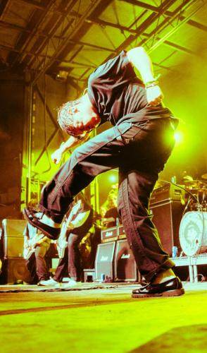knockedloose web 20 (1)