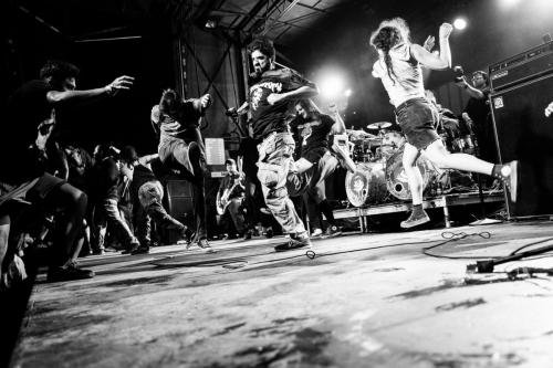 knockedloose web 6 (1)