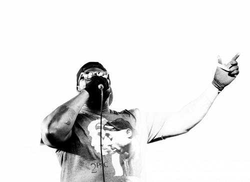 projectpat web 2